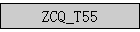 ZCQ_T55